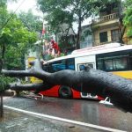 Những việc “buộc phải nhớ” khi ra ngoài ngày mưa bão