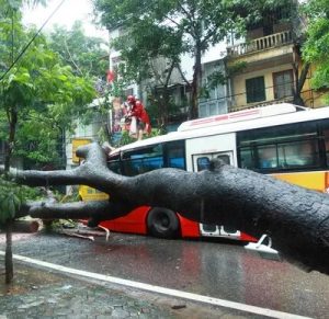 Những việc “buộc phải nhớ” khi ra ngoài ngày mưa bão