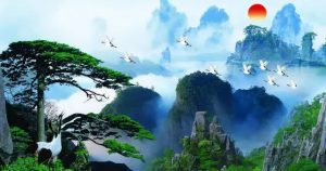 “Cây tiền” quý hiếm mọc cheo leo bên vách đá: Vệ sĩ canh giữ 24/24, dùng kính lúp soi lá “kiểm tra sức khỏe”