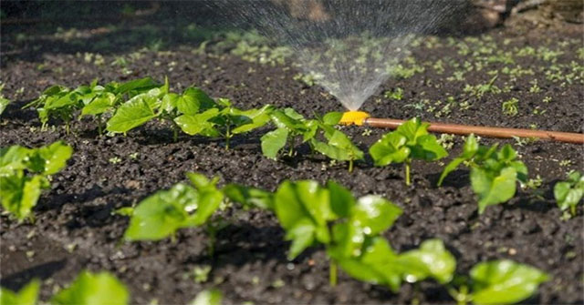 Nhật chế tạo thành công cảm biến độ ẩm có khả năng phân hủy sinh học