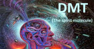 Chất thức thần DMT là gì? Nó có thực sự đem lại các lợi ích về tâm linh như nhiều người nghĩ?