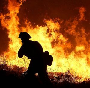 NASA dùng 200 vệ tinh để phát hiện cháy rừng vào năm 2018