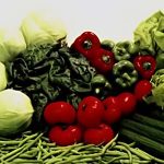 Chiếu xạ để tạo giống mè mới