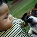 Tiếp xúc với chó giúp trẻ giảm nguy cơ bệnh hen suyễn