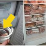 Mẹo tiết kiệm điện vô cùng đơn giản: Đặt bát nước vào tủ lạnh!