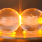 Điều kỳ lạ xảy ra khi bạn cho nho vào lò vi sóng
