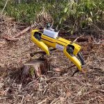 Chó robot hỗ trợ công việc lâm nghiệp ở Nhật Bản