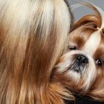 Vì sao chó và chủ thường giống nhau?
