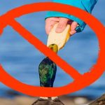 Bạn sẽ bật ngửa khi biết những điều ta vẫn nghĩ này hóa ra là… sai toét