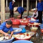 Trước nguy cơ đại dịch cúm toàn cầu: Ngổn ngang trăm mối