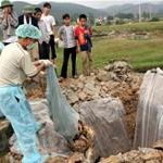 Khẩn trương dập dịch