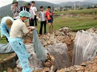Khẩn trương dập dịch