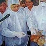 Tổng vệ sinh trên cả nước để phòng cúm gia cầm