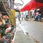 Indonesia: khả năng cúm gia cầm lây từ người sang người