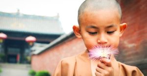 Trên đời nên hạn chế hỏi “Tại sao” thì mới có thể thành công