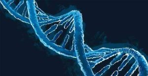 Liệu pháp gen sử dụng tế bào gốc tạo máu trong điều trị HIV/AIDS