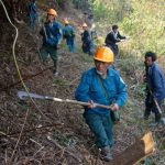 Cháy khoảng 100 ha rừng ở Vườn quốc gia Hoàng Liên