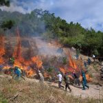 Năm nước tiểu vùng Mekong chống ô nhiễm khói mù