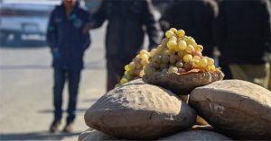 Phương pháp độc lạ giúp bảo quản nho tươi đến 6 tháng của người Afghanistan