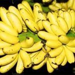 Chuối ngự – Loại chuối ngon nhất nước được người xưa chọn để tiến vua