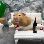 Con vật này chính là “bợm rượu” trong thế giới động vật