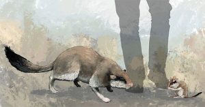 Hóa thạch hộp sọ của chuột cổ đại to như mèo