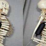 Cơ bắp tổng hợp giúp AI mạnh mẽ và khéo léo như trong phim giả tưởng