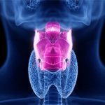 Cổ họng nhân tạo thông minh hỗ trợ bệnh nhân mất dây thanh quản
