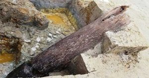Bãi cọc Cao Quỳ mở ra hướng nghiên cứu mới