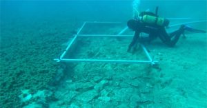 Phát hiện con đường 7.000 năm dưới đáy biển Adriatic