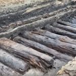 Công nhân Đức tình cờ khai quật được con đường gỗ 800 năm tuổi