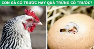 Lời giải cho những câu hỏi thách thức nhiều thế hệ
