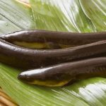 Lươn không có độc, vậy tại sao rắn không dám đụng tới?