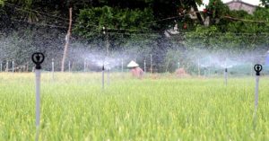 Công nghệ tưới tiết kiệm – Giải pháp căn cơ ứng phó hạn hán