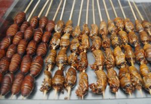 Côn trùng sẽ cứu châu Âu khỏi nạn đói