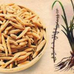 Việt Nam có một loại củ phơi khô được ví như “thuốc trường thọ”
