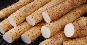 Một loại củ phơi khô là “thuốc trường thọ” giúp dưỡng thận, kiểm soát đường huyết hiệu quả