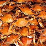 Cua biển càng to, người yêu hải sản càng buồn