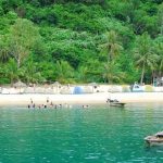 Giải thưởng bảo vệ động vật hoang dã