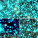 Kỳ thú cụm sao hình cầu mới trong thiên hà Milky Way