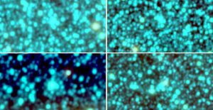 Kỳ thú cụm sao hình cầu mới trong thiên hà Milky Way