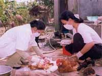 10% dân số VN sẽ nhiễm H5N1, nếu…