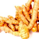 Tổng hợp chất chống ung thư có trong cà ri