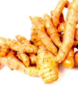Tổng hợp chất chống ung thư có trong cà ri