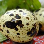 Trứng cút bổ hơn trứng gà