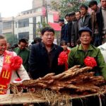 Củ từ nặng 38kg