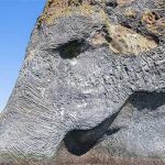 Ngộ nghĩnh ghềnh đá đĩa khổng lồ có hình dạng giống con voi ở Iceland
