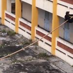 Giáo sư Mỹ lý giải kỹ thuật leo tường bằng sào tre của đặc nhiệm Việt Nam