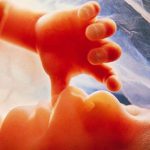 Hai năm nữa có thể cấy ghép dạ con
