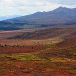 Thấy đài nguyên hàng triệu năm tuổi dưới dải băng Greenland